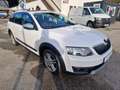 Skoda Octavia Scout 4x4 Weiß - thumbnail 3
