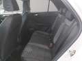 Volkswagen T-Roc R-Line el. Heckklappe Keyless Grau - thumbnail 17