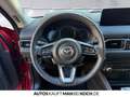 Mazda CX-5 194ps 6AT FWD AD'VANTAGE LED 360 CAM NAVI Rot - thumbnail 9
