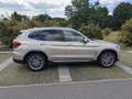 BMW X3 X3 xDrive30d Aut. Luxury Line Gold - thumbnail 6