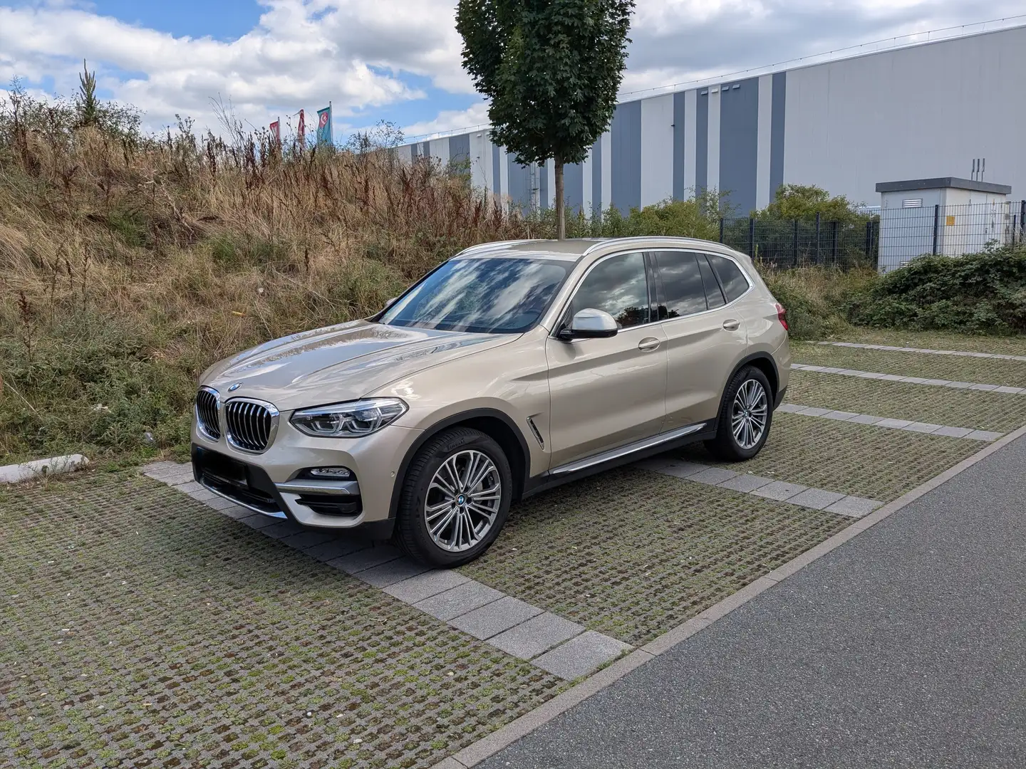 BMW X3 X3 xDrive30d Aut. Luxury Line Gold - 2