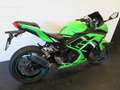 Kawasaki Ninja 300 ABS ZEER FRAAI! Groen - thumbnail 3