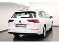 Volkswagen Golf VIII Variant 1.5 eTSI Life Standheizung Panorama Weiß - thumbnail 5