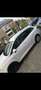 SEAT Ibiza 1.2 TDI Style Eco. Wit - thumbnail 2