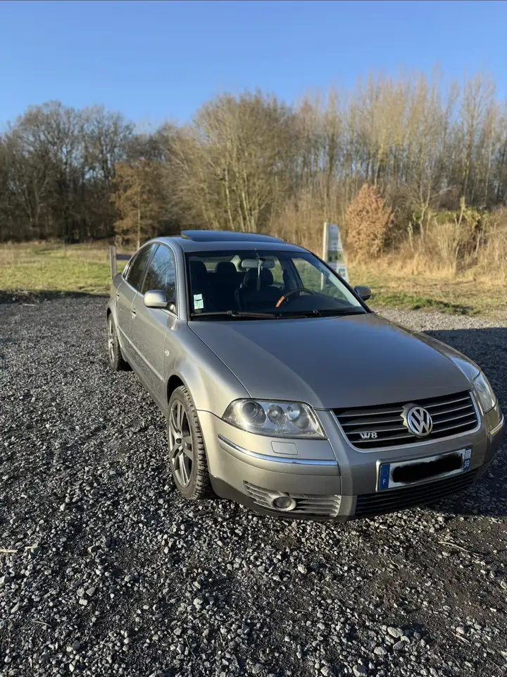 Volkswagen Passat W8