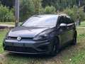 Volkswagen Golf Variant R Facelift Dynaudio Alcantara Grau - thumbnail 1
