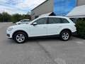 Audi Q7 3.0 TDI 272 CV QUATTRO TIP BUSINESS Weiß - thumbnail 17