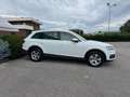 Audi Q7 3.0 TDI 272 CV QUATTRO TIP BUSINESS Weiß - thumbnail 16
