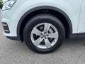 Audi Q7 3.0 TDI 272 CV QUATTRO TIP BUSINESS Weiß - thumbnail 19