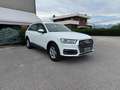 Audi Q7 3.0 TDI 272 CV QUATTRO TIP BUSINESS Weiß - thumbnail 13