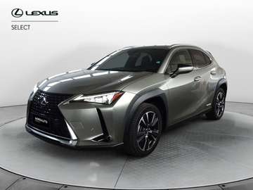 Hybrid Premium