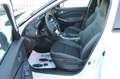 Nissan Juke 1.0 DIG-T 114cv DCT N-Connecta *Automatica*Winter* Blanc - thumbnail 16