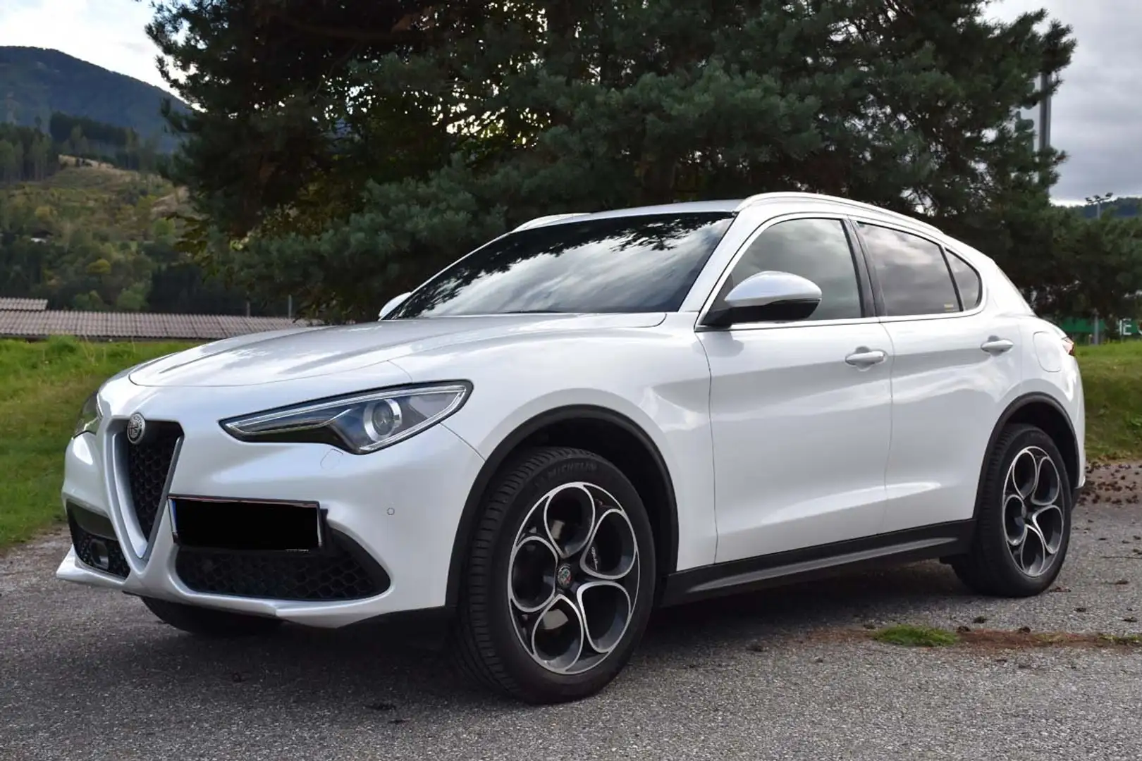 Alfa Romeo Stelvio Stelvio Super 2,0 ATX AWD Super Weiß - 1