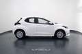 Toyota Yaris 1.5 Hybrid 116cv 5 porte Business Bianco - thumbnail 7