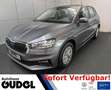 Skoda Fabia Selection 1.0 TSI DSG Kamera Climatr Smart Gris - thumbnail 1