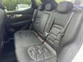 Nissan Qashqai 1,3 DIG-T MHEV Tekna+ Aut. *ab € 18.990,-* Weiß - thumbnail 13