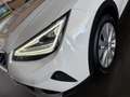 SEAT Arona 1.0 TSI S&S Xperience 110 Blanco - thumbnail 11