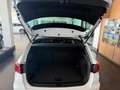 SEAT Arona 1.0 TSI S&S Xperience 110 Blanco - thumbnail 5