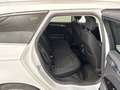Ford Mondeo 2.0 EcoBlue Titanium AWD StHz ACC Key Blanc - thumbnail 8