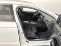 Ford Mondeo 2.0 EcoBlue Titanium AWD StHz ACC Key Blanc - thumbnail 6