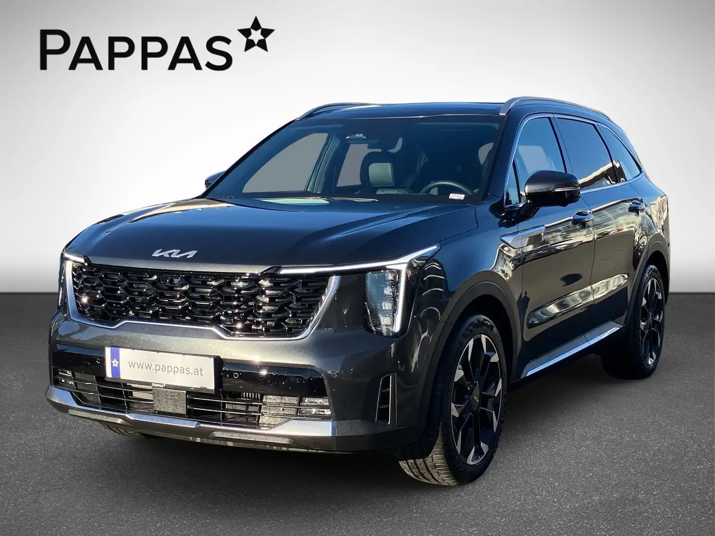Kia Sorento 7S PLATIN 2,2 CRDI Vollausstattung, 7 Si. Grau - 1