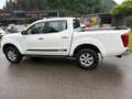 Nissan Navara Weiß - thumbnail 6