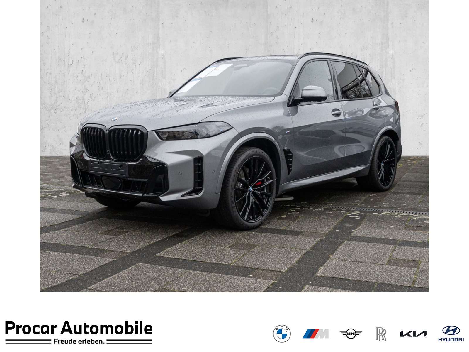 Brugt Bmw X5 