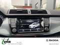 Skoda Fabia Combi Best of DSG PDC v+h NAVI BlindSpot Blau - thumbnail 11