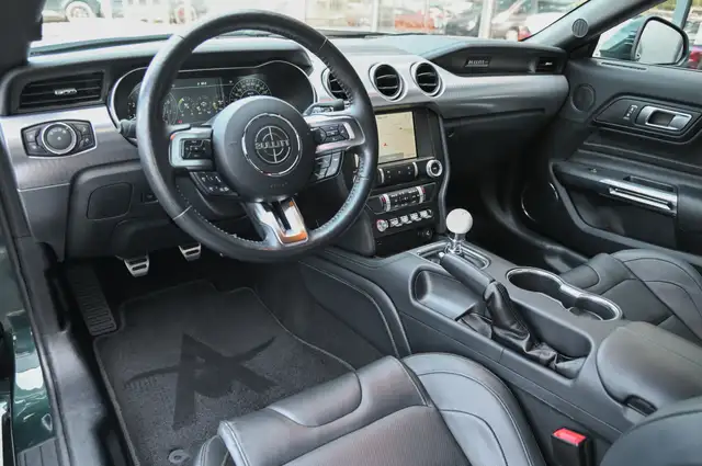 Ford Mustang view 9