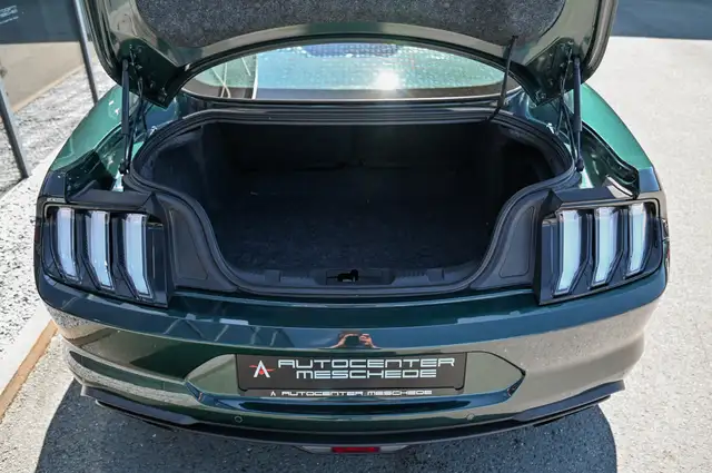 Ford Mustang view 8