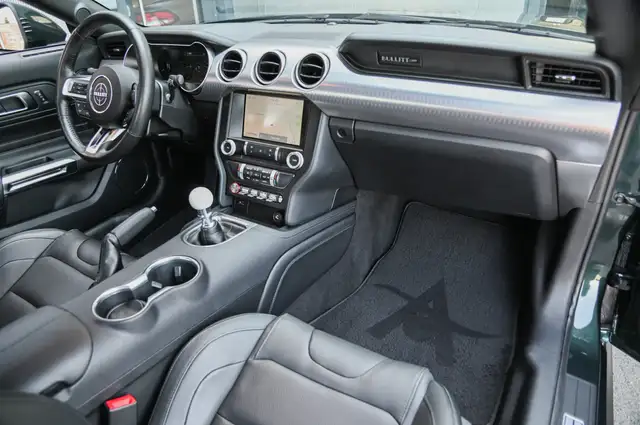Ford Mustang view 10
