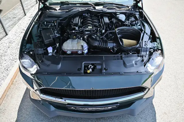 Ford Mustang view 7
