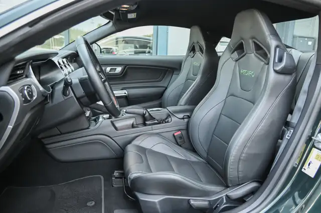 Ford Mustang view 11