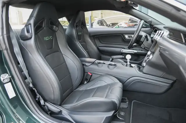 Ford Mustang view 12