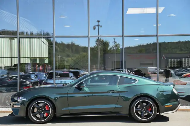 Ford Mustang view 6