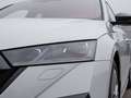 Skoda Octavia Combi RS 2.0 TDI DSG 4x4, StHzg. Pano Na Weiß - thumbnail 13