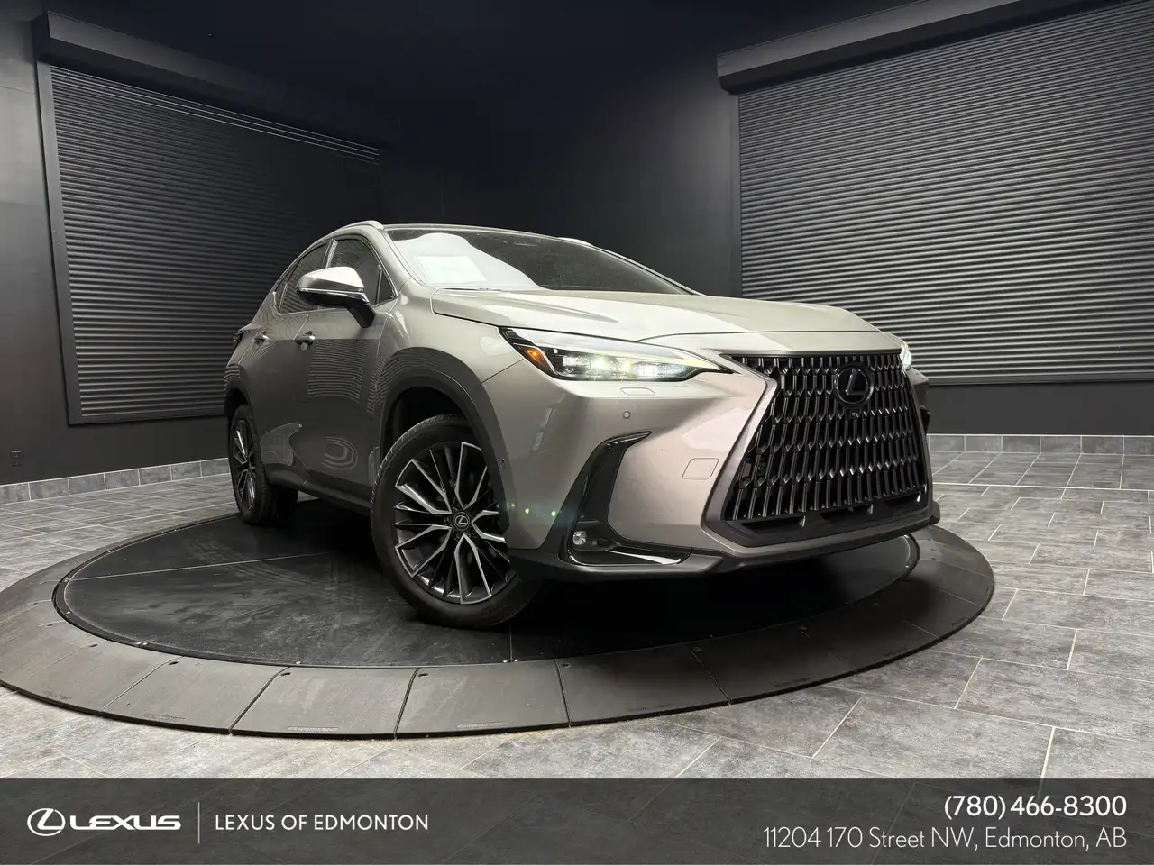 2024 Lexus NX