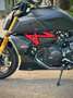 Ducati Diavel 1260 S *1 Hand+ Inspektion Neu Schwarz - thumbnail 11