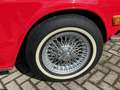 Triumph TR6 Soft Top + Hard top Rojo - thumbnail 28