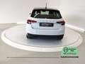 Skoda Fabia 1.0 TSI EVO Style Bianco - thumbnail 4