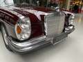 Mercedes-Benz 280 SE 4,5 W108 Rot - thumbnail 8