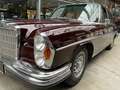 Mercedes-Benz 280 SE 4,5 W108 Rot - thumbnail 5