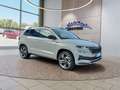 Skoda Karoq Sportline 2,0TSI DSG AHK/4*J.Gar/Navi/Matrix     * Grijs - thumbnail 1