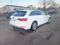 Audi A4 Avant 50 TDI quattro sport*S-line*Top* Weiß - thumbnail 5