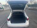 Audi A4 Avant 50 TDI quattro sport*S-line*Top* Weiß - thumbnail 13