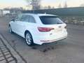 Audi A4 Avant 50 TDI quattro sport*S-line*Top* Weiß - thumbnail 7