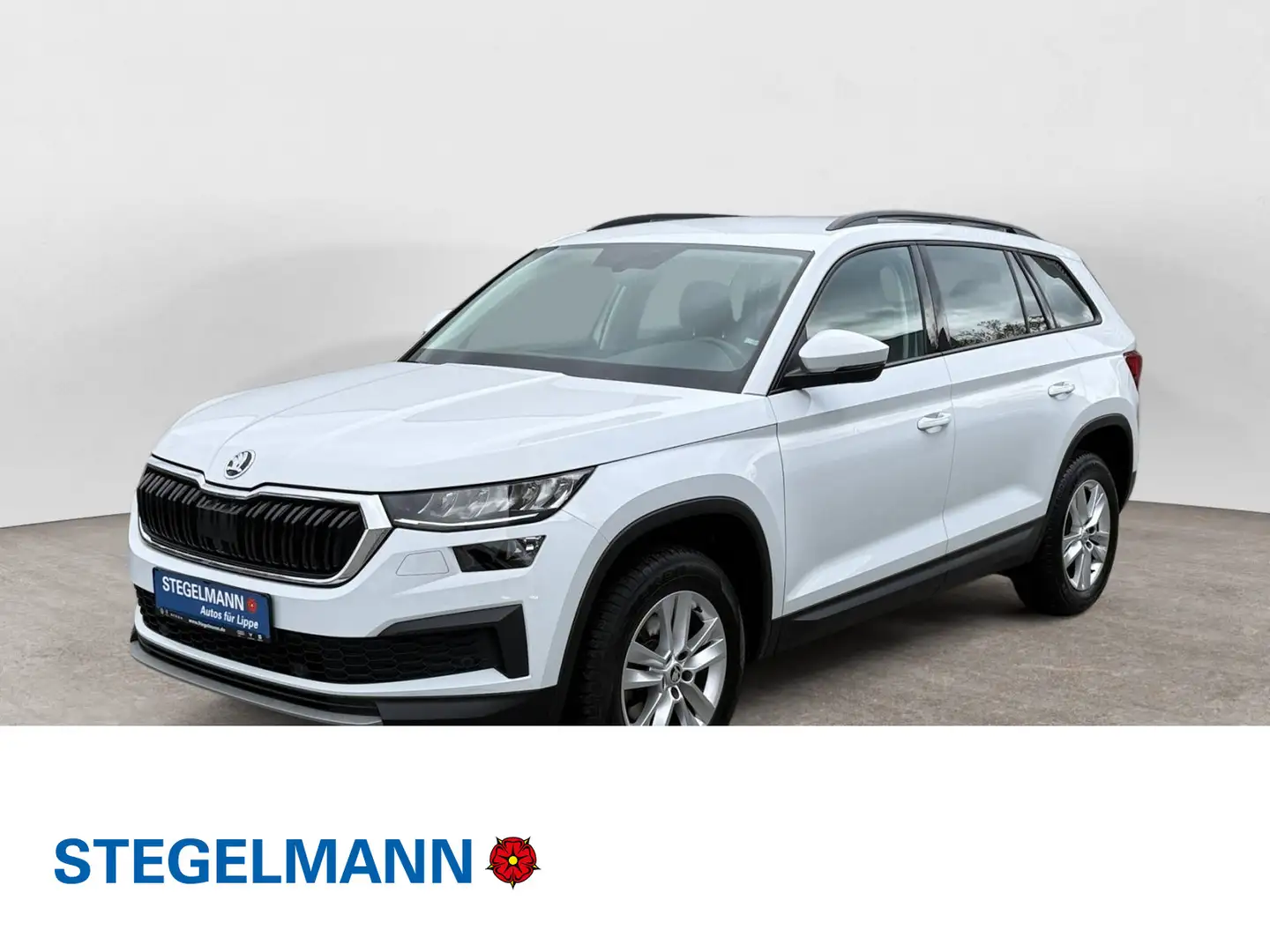 Skoda Kodiaq 1.5 TSI DSG Ambition *LED*Navi*Kamera* Wit - 1