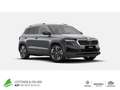 Skoda Karoq Selection 2.0 TDI DSG ACC+AHK+SMART-LINK Grau - thumbnail 1