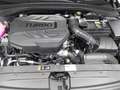 Kia Ceed SW / cee'd SW CEED SW 1.6 CRDI DCT7 MILD HYBRID SPIRIT MJ24 TECH Gris - thumbnail 16