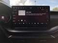Skoda Octavia Cb.RS 2.0TSI DSG+AHK+NAVI+MATRIX+HuD+SHZ Klima Grau - thumbnail 12